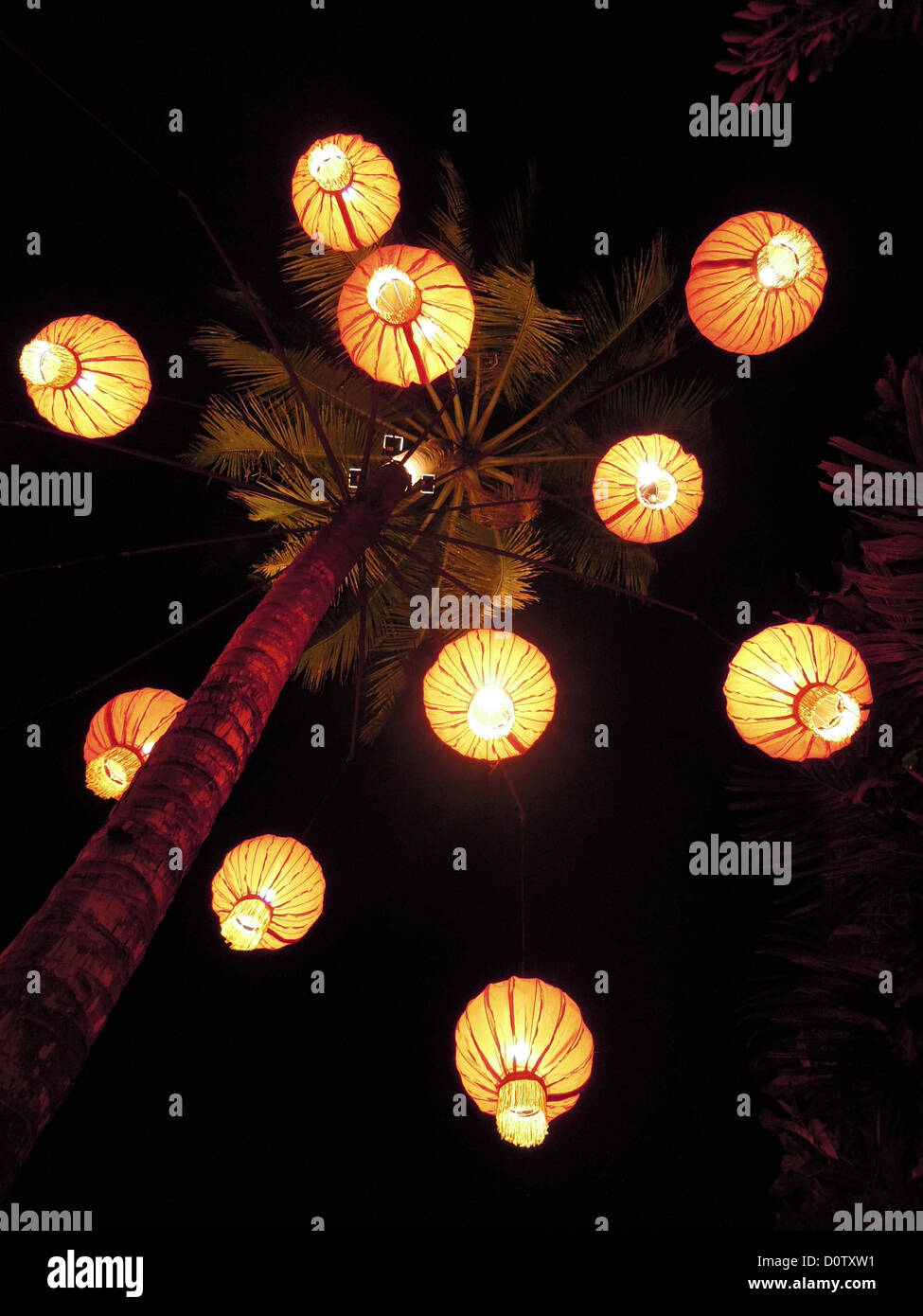 Laos, Asia Prabang, Lampion, luces en la noche, la noche, palm, Foto de stock