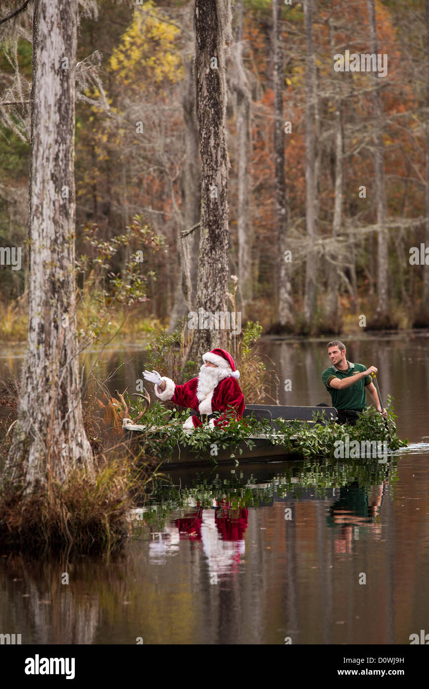 Charleston, EE.UU.. 1 de diciembre de 2012. Santa Claus llega por barco pantano en Cypress Gardens Pantano Diciembre 1, 2012 en Moncks Corner, SC. El parque público ocupa 80 acres de blackwater ciprés calvo y tupelo pantano a las afueras de la ciudad de Charleston. Crédito: Richard Ellis / Alamy Live News Foto de stock