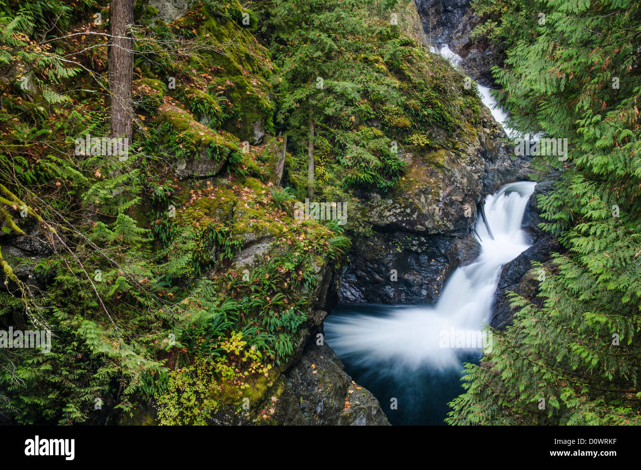 Oriente niveles de Twin Falls en la bifurcación sur del río Snoqualmie, Olallie State Park, Montañas Cascade, en Washington. Foto de stock