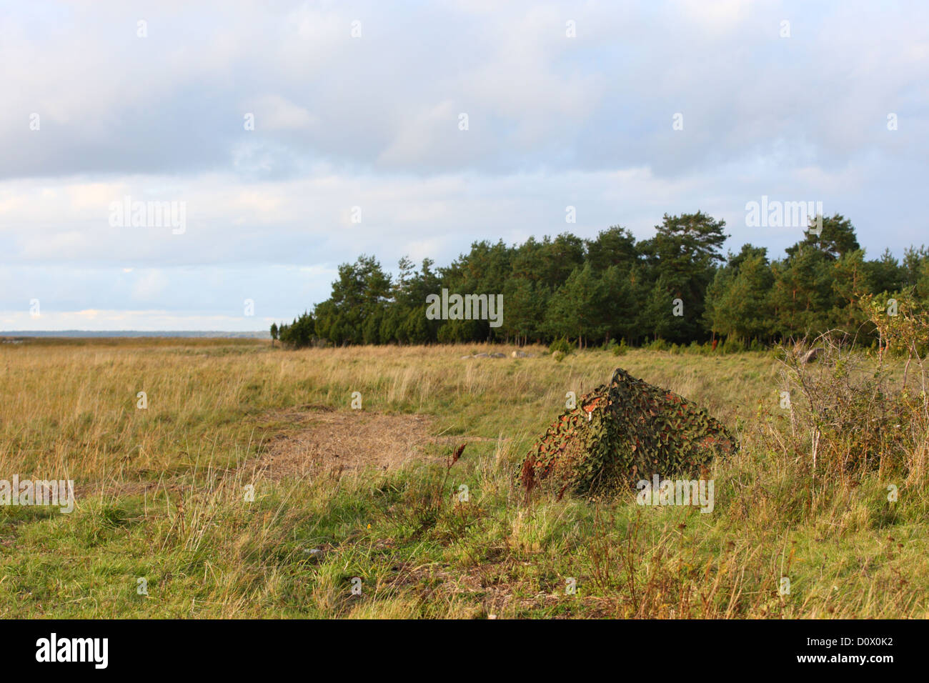 Ocultar fotográfica cubiertos con red de camuflaje, listo para la caza de aves y mamíferos. Europa, Estonia Foto de stock