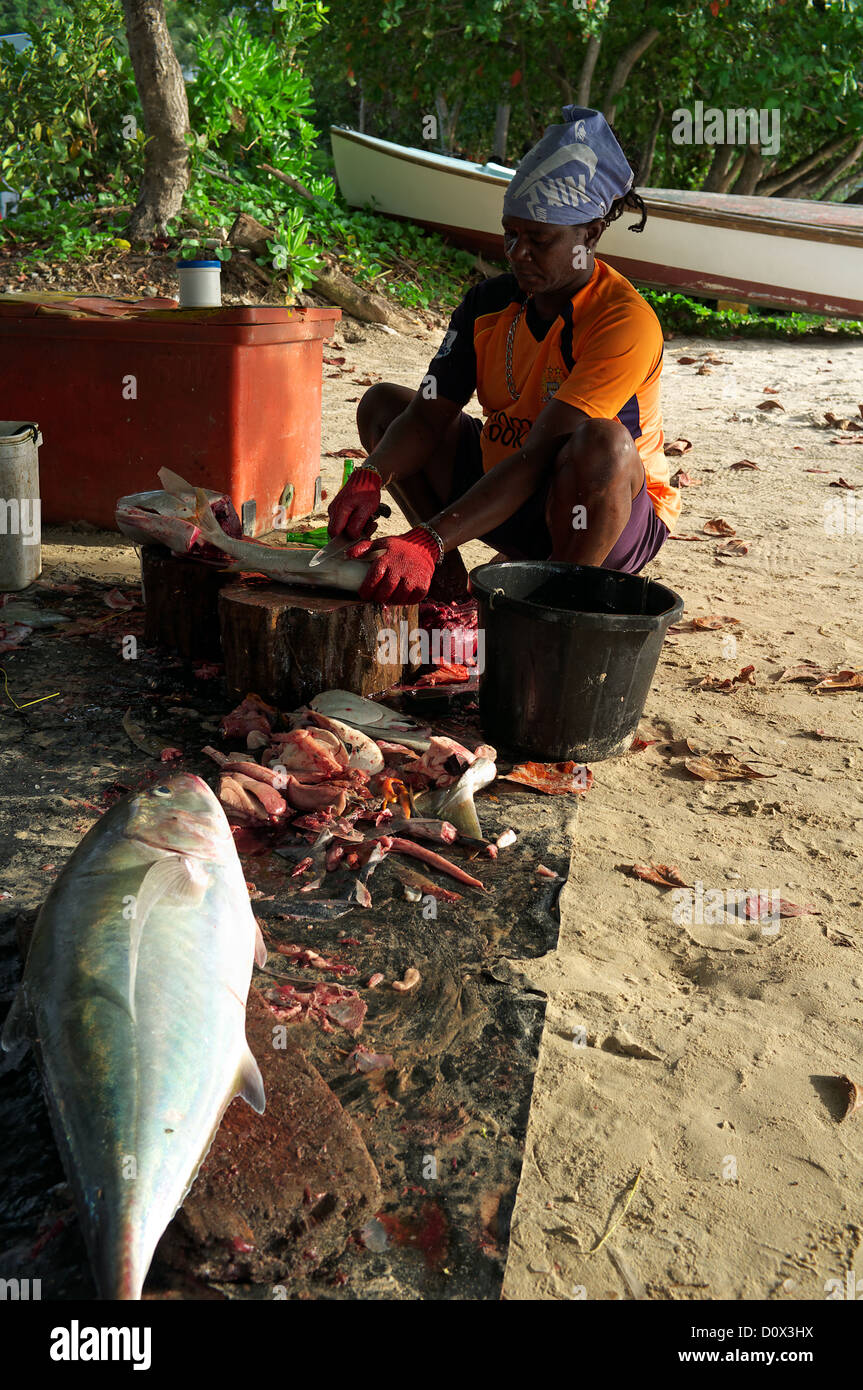 Los pescadores locales preparación y destripar pescado fresco en la playa usando un bloque de madera y un pequeño machete, Seychelles Foto de stock