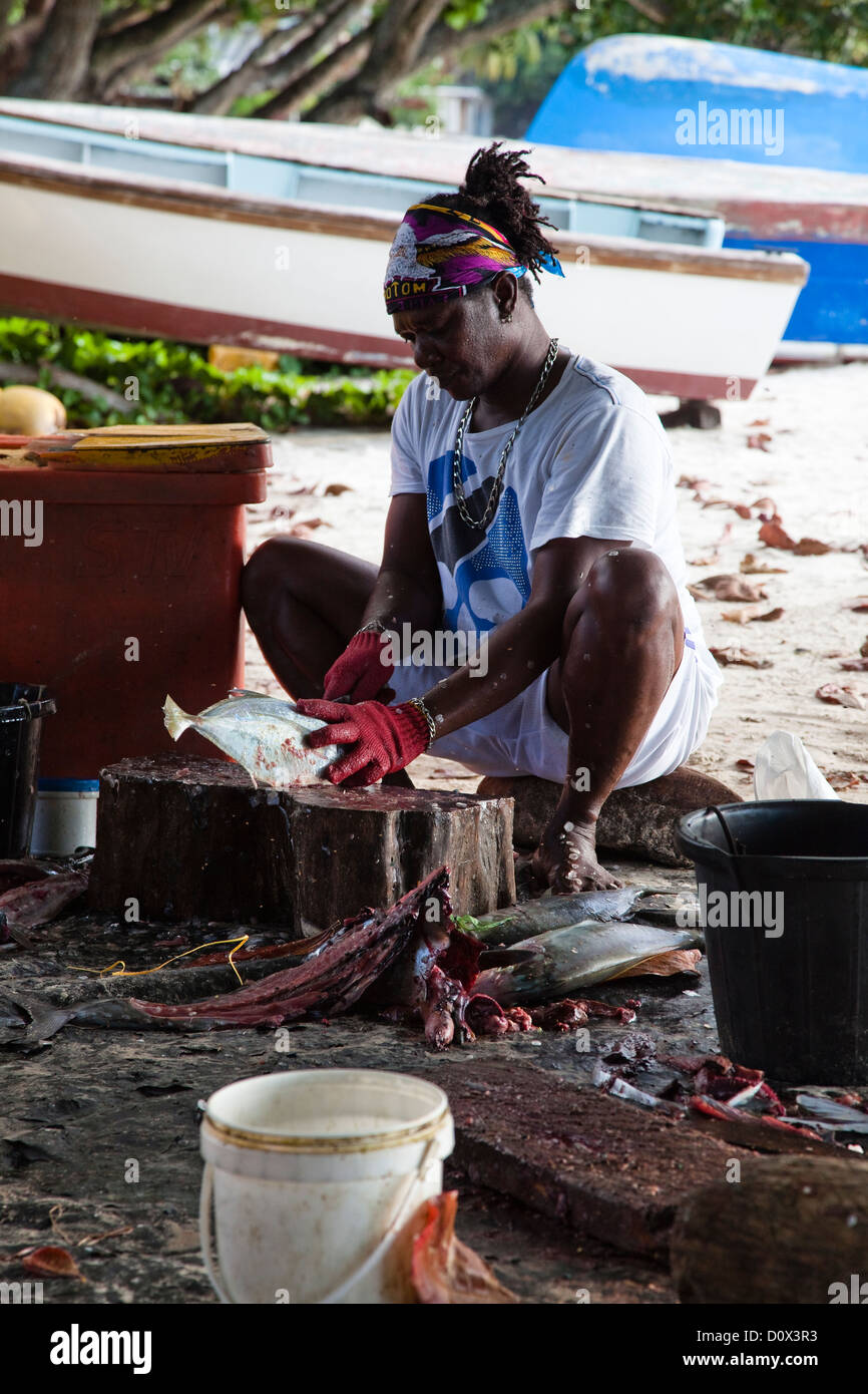Hombre evisceración y limpieza de pescado fresco, en una playa en Mare Anglais, Beau Vellon, Mahe Island, Seychelles Foto de stock