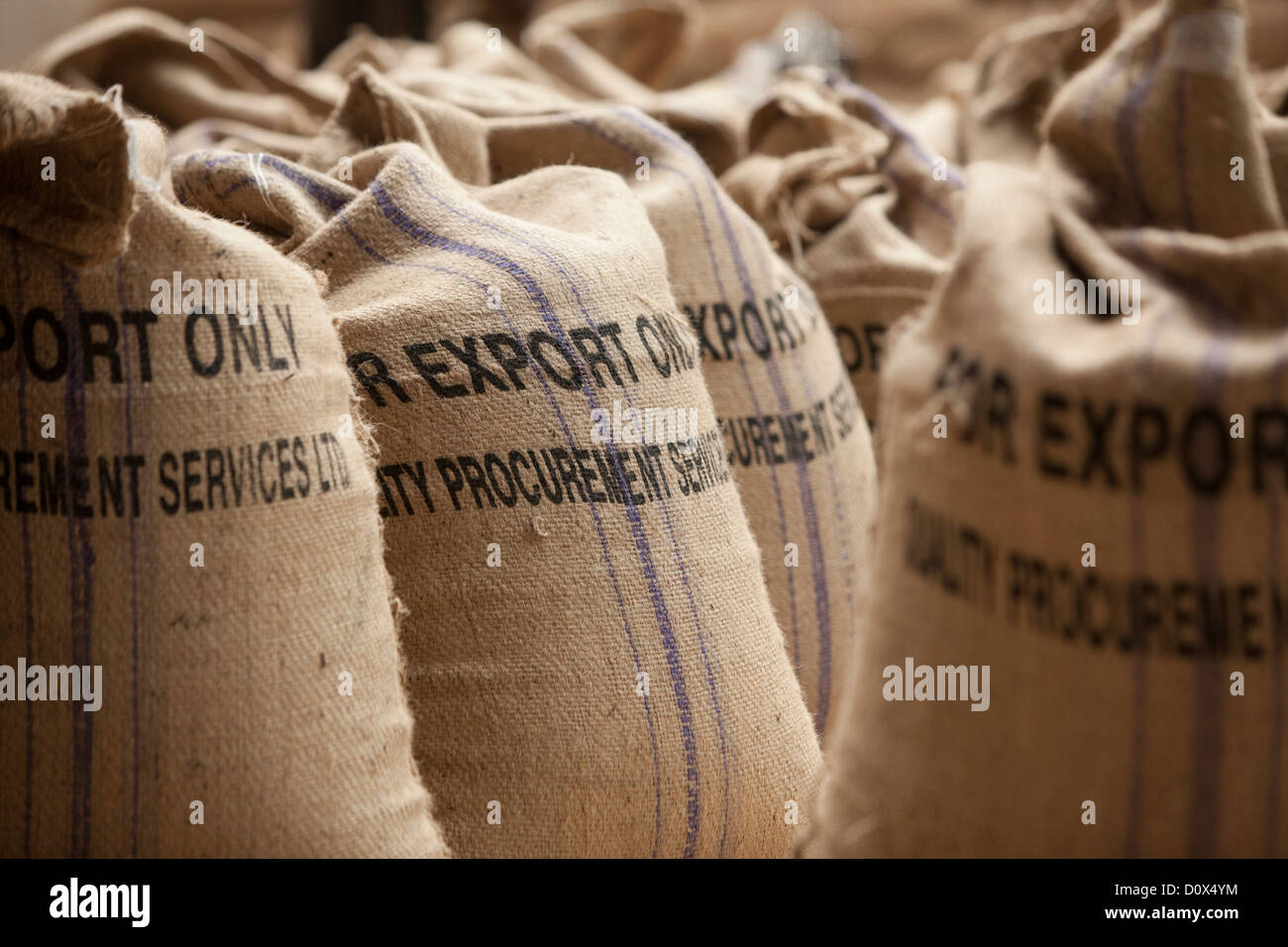Sacos de granos de café están listos para exportar en un almacén en Kampala, Uganda, en el África oriental. Foto de stock