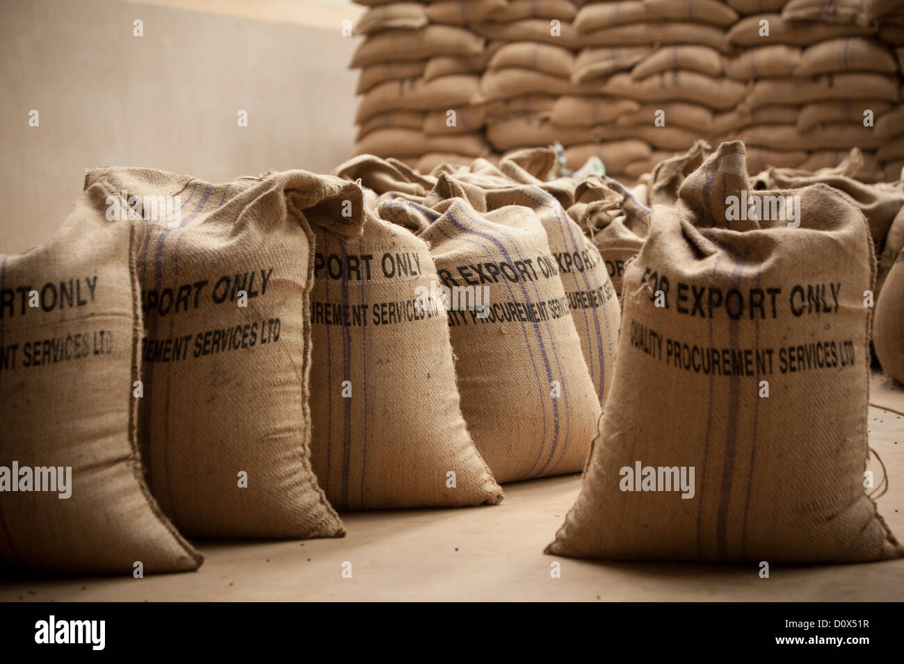 Sacos de granos de café están listos para exportar en un almacén en Kampala, Uganda, en el África oriental. Foto de stock