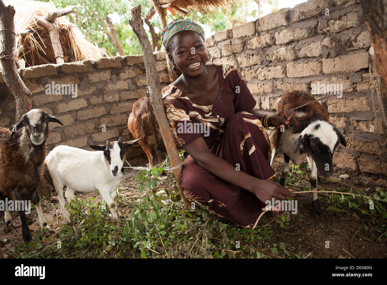 Una mujer levanta las cabras en Doba, Chad, África. Foto de stock