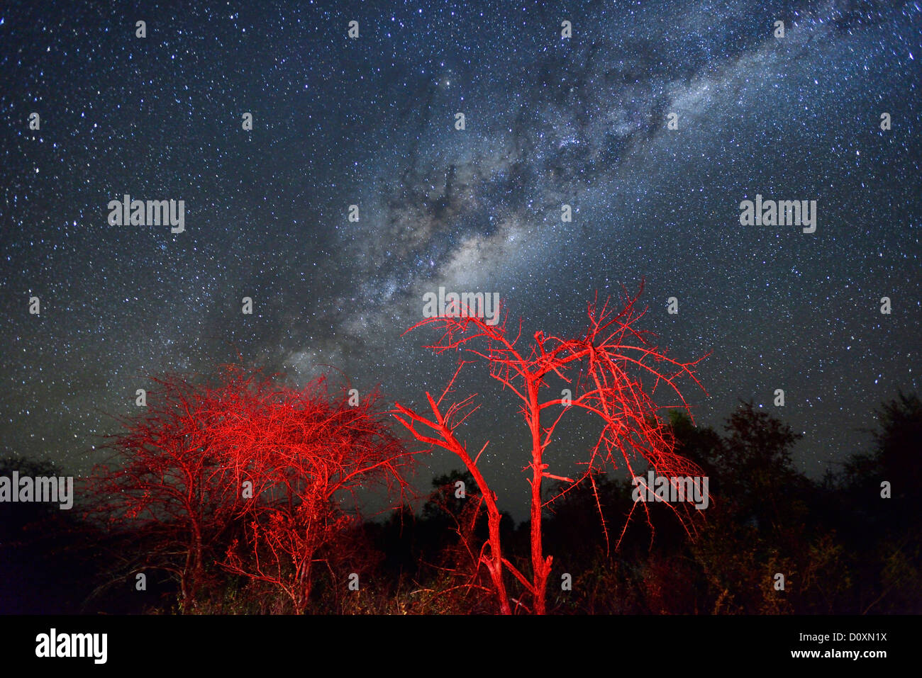 África, Namibia, Fiume Lodge, cielo, estrellas, desierto, cielo, astro, fotografía, Bloomfontein, cielo, estrellas, spangled cielo estrellado Foto de stock