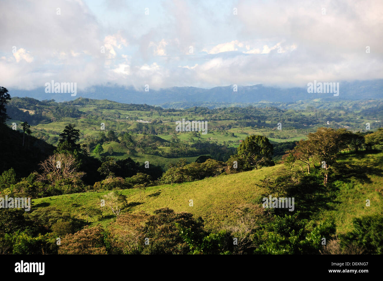 El bucólico paisaje verde, pastos, ver las Terras Altas, Panamá, Centroamérica Foto de stock