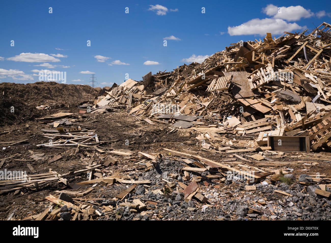 Montón de madera desechada en el sitio de gestión de residuos Foto de stock