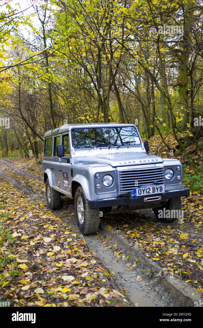 Land Rover Defender off road en otoño de Woodland, Herefordshire, Inglaterra, Reino Unido. Foto de stock