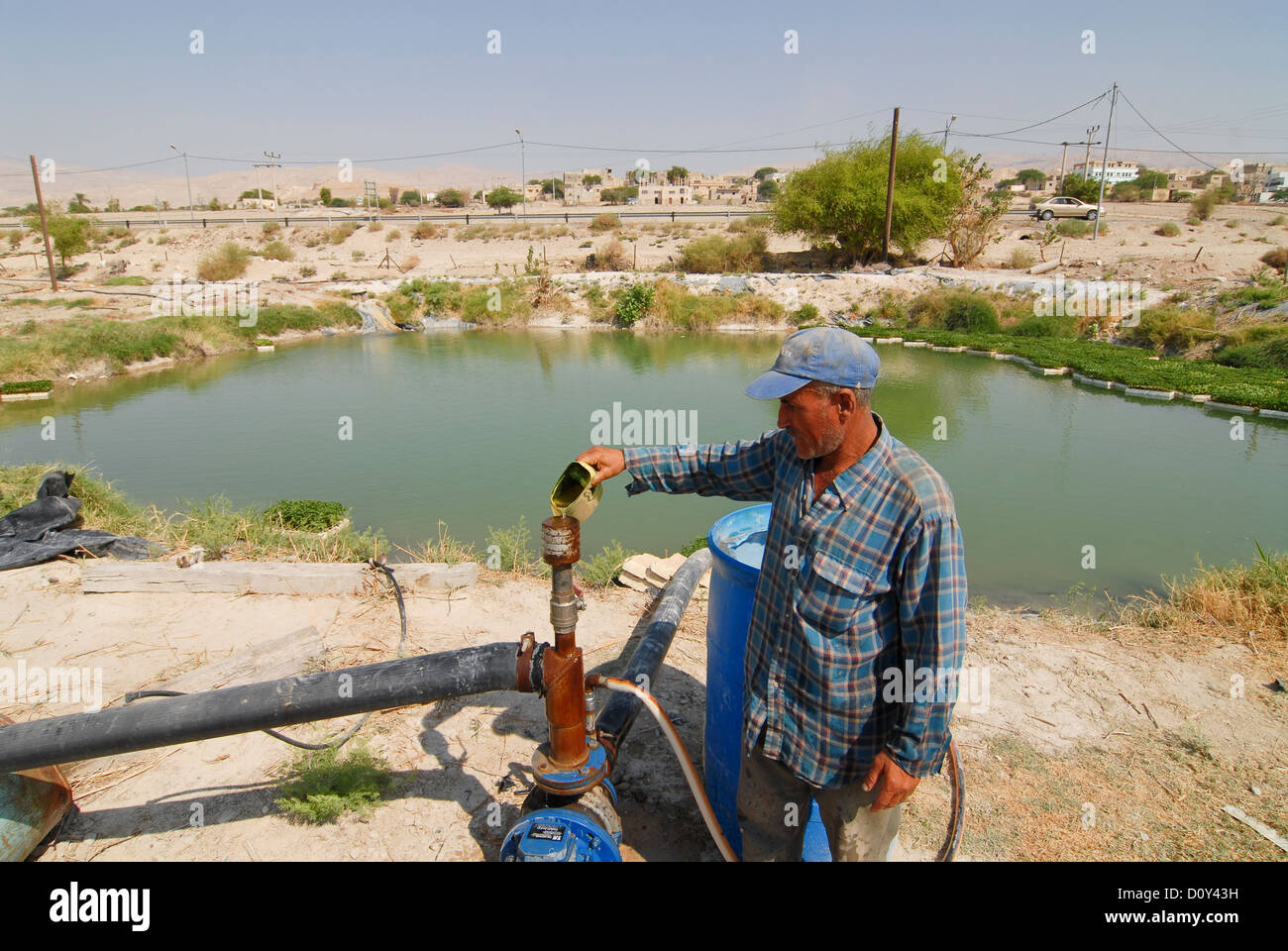 Jordania, la escasez de agua y la agricultura en el valle del Jordán, el cultivo de hortalizas Foto de stock