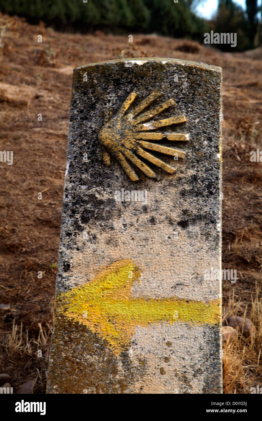 La flecha amarilla y los signos de concha festonera marcan el camino a  Santiago de Compostela proporcionando dirección a los peregrinos Fotografía  de stock - Alamy