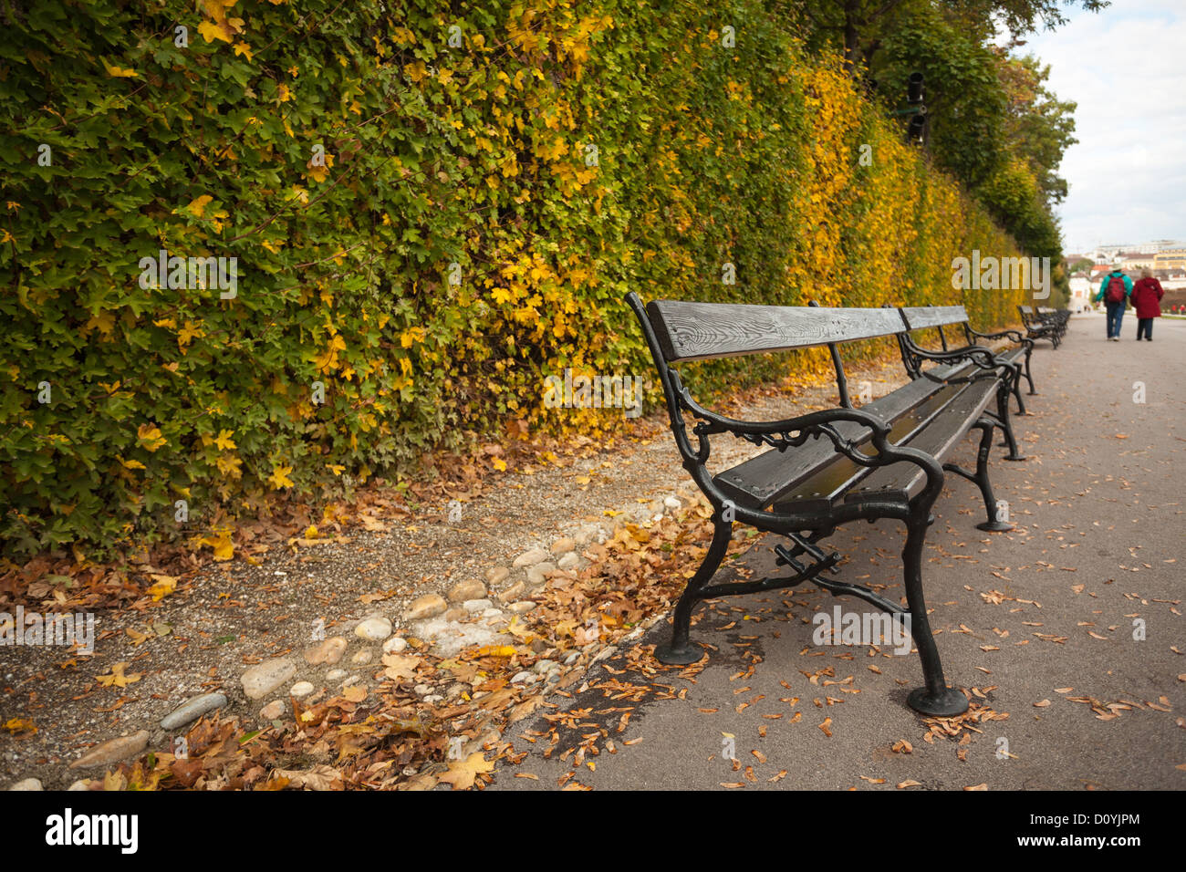 Un par pasear hasta los bancos del parque delante de un seto que cambia a los colores de otoño en el interior de las instalaciones de Viena del Belvedere. Foto de stock