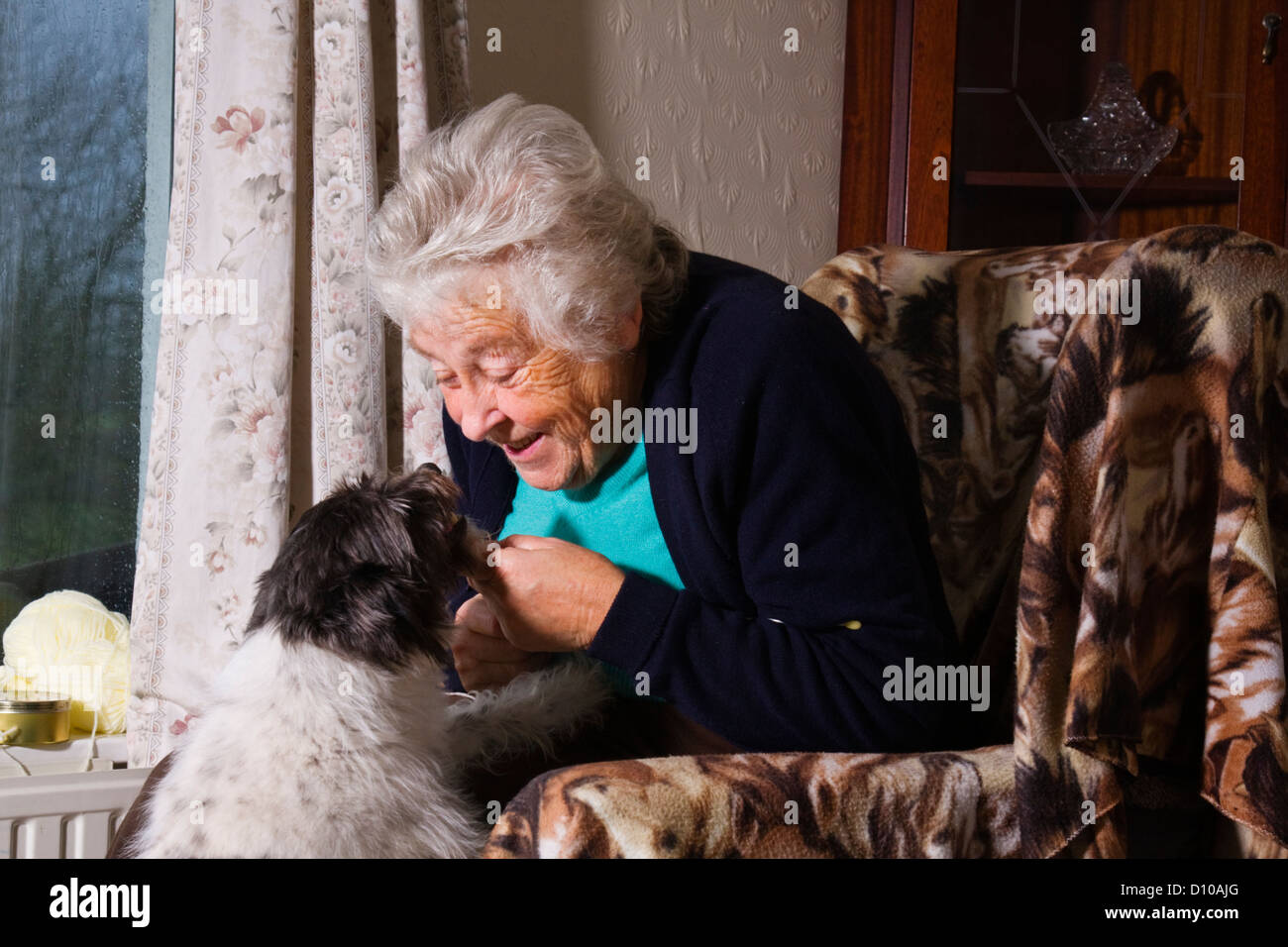Interacción entre la vieja dama y su mascota, Devon, Reino Unido Foto de stock