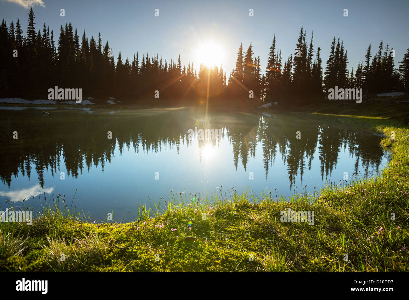 Lago de montaña salvaje de Alaska Foto de stock