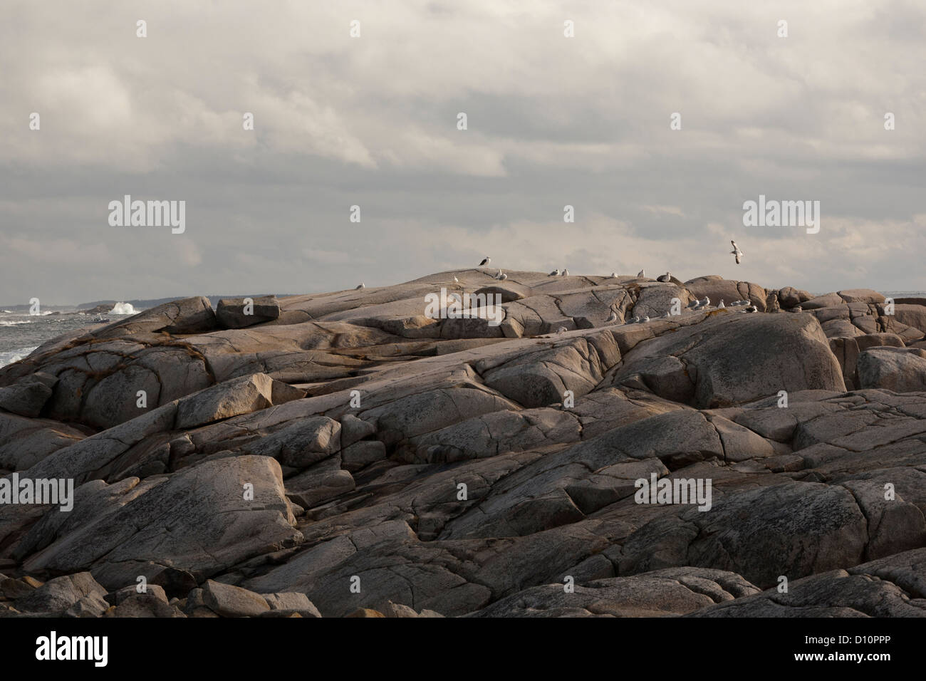 Formación rocosa con gaviotas y ligera vista de océano en el fondo. Cielo nublado. Foto de stock
