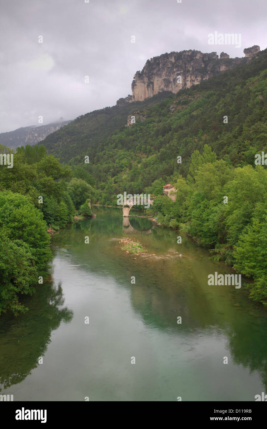 Vista de las Gorges du Tarn con el río Tarn y las ruinas del puente de la Musa. Cerca de le Rozier, Lozère, Francia. De junio. Foto de stock