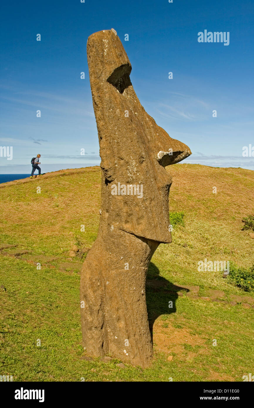 Retorcido información patrimonio Isla de Pascua - estatua moai - sobre verdes colinas de Ranu Raraku con  caminante solitario en la distancia empequeñecidos por la figura tallada  Fotografía de stock - Alamy