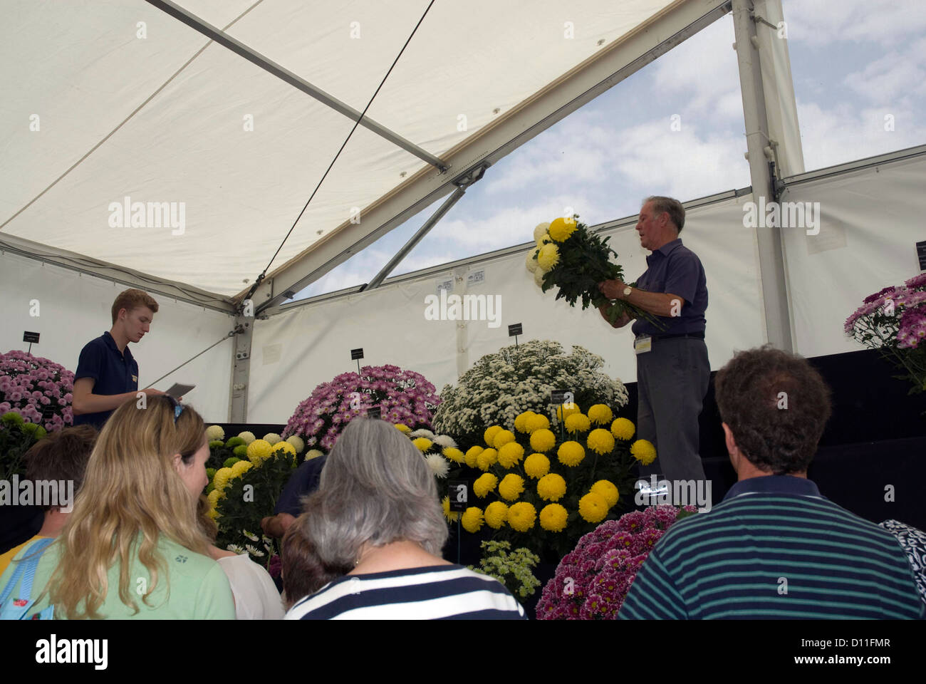 Venta de flores en el stand de crisantemo Hampton Court Flower Show, en el oeste de Londres Foto de stock