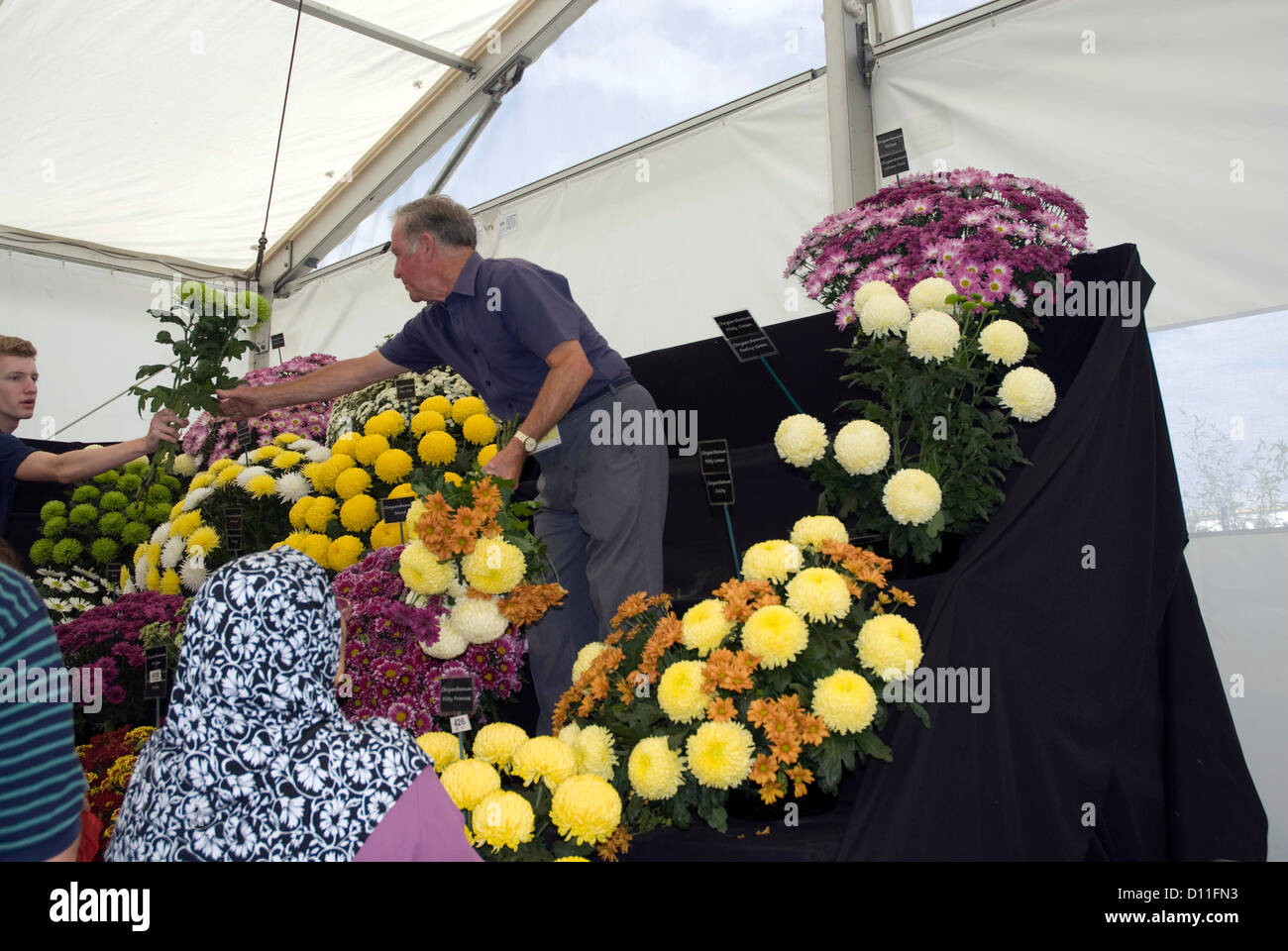 Venta de flores en el stand de crisantemo Hampton Court Flower Show, en el oeste de Londres Foto de stock