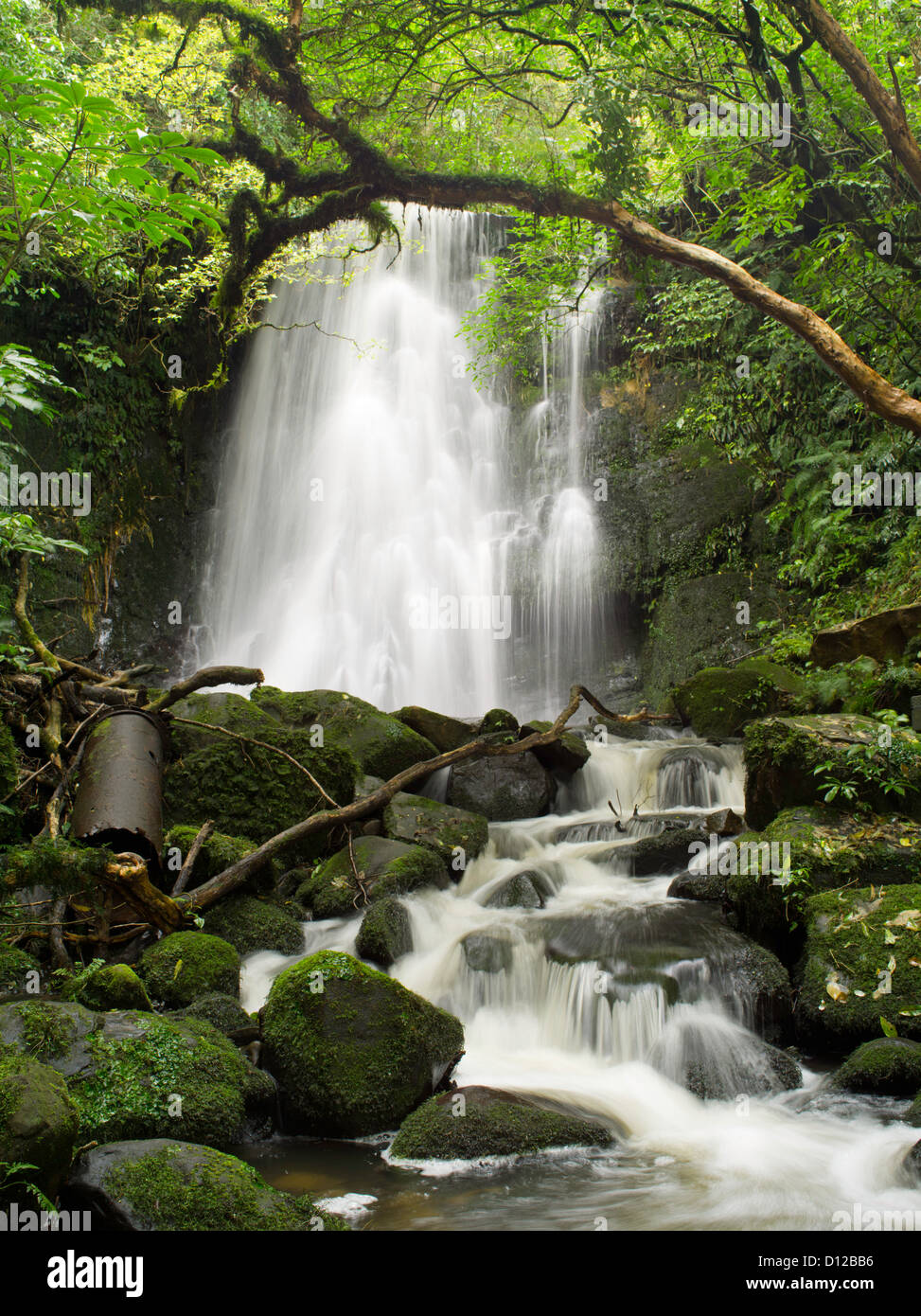 Vista de matai falls, catlins, Southland, Nueva Zelandia; octubre de 2012 Foto de stock