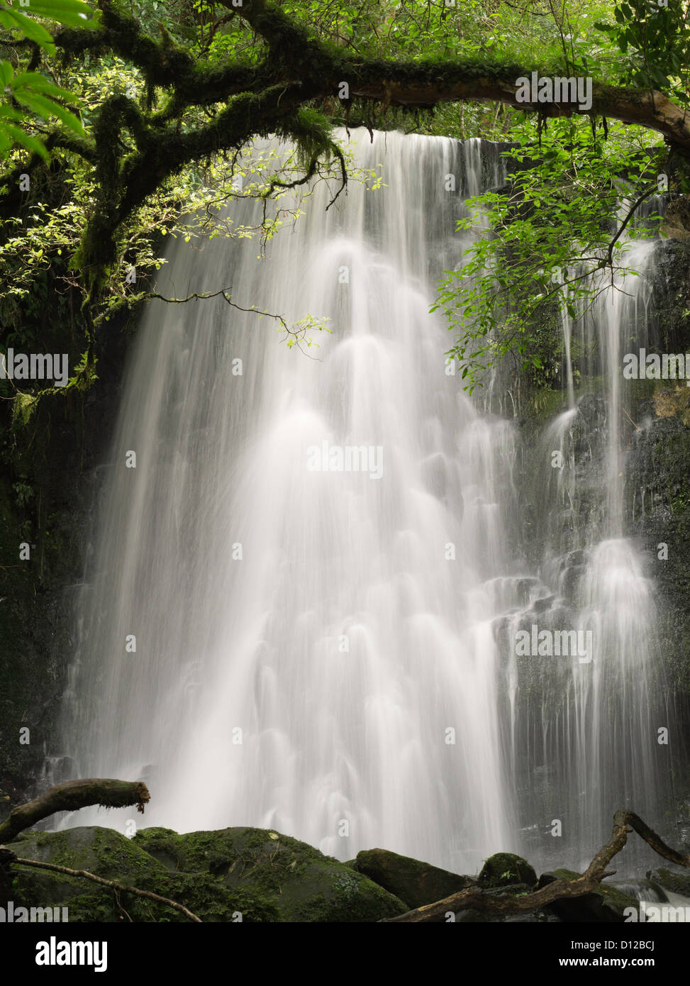Vista de matai falls, catlins, Southland, Nueva Zelandia; octubre de 2012 Foto de stock