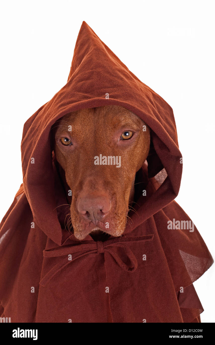 Medieval monk costume fotografías e imágenes de alta resolución - Alamy