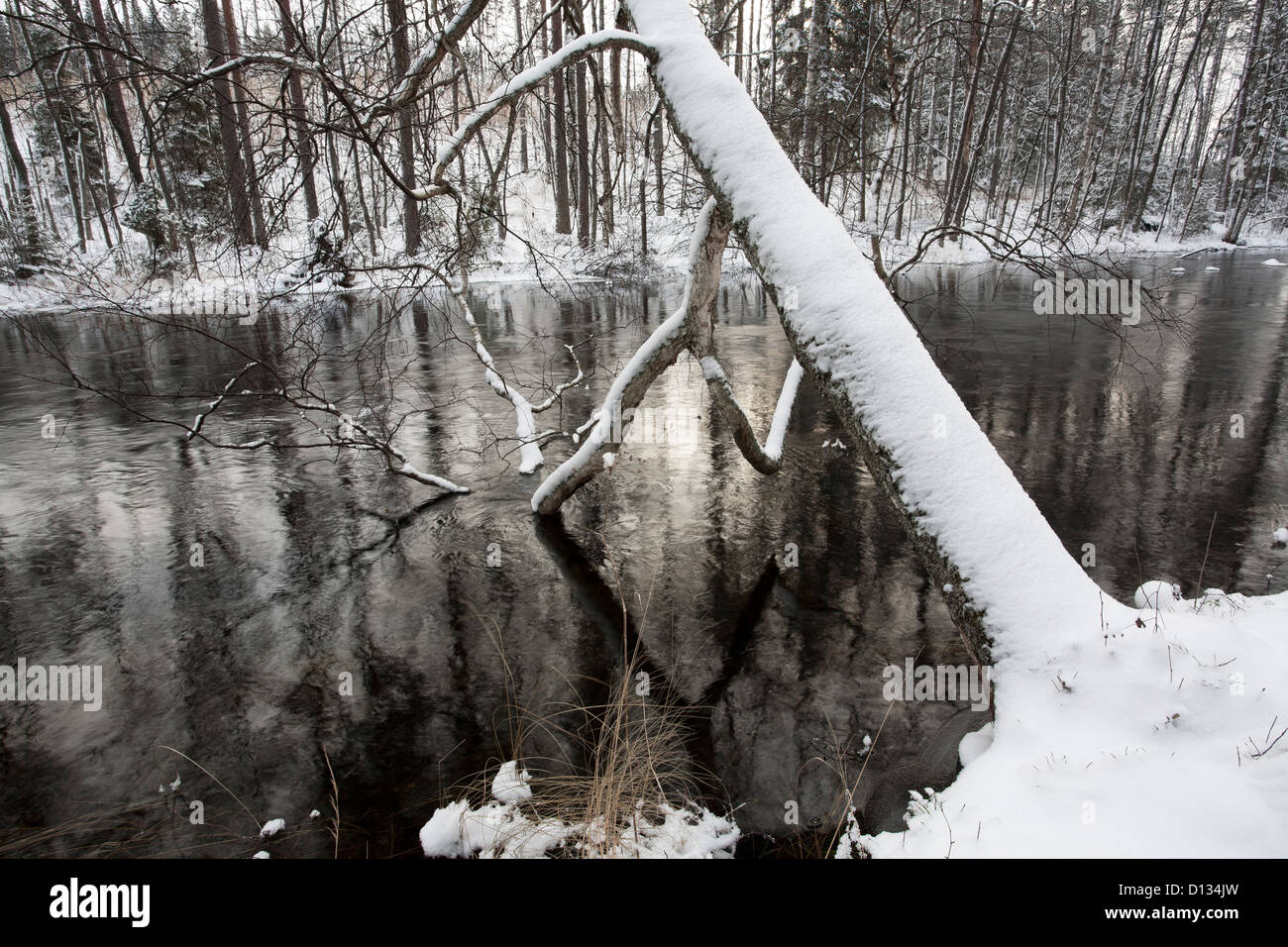 A comienzos del invierno, Finlandia Savitaipale escena Foto de stock