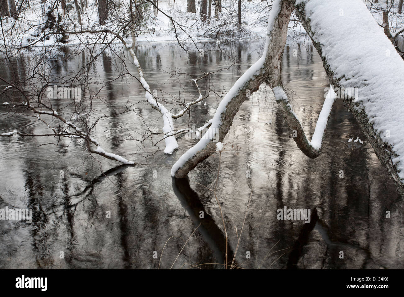 A comienzos del invierno, Finlandia Savitaipale escena Foto de stock