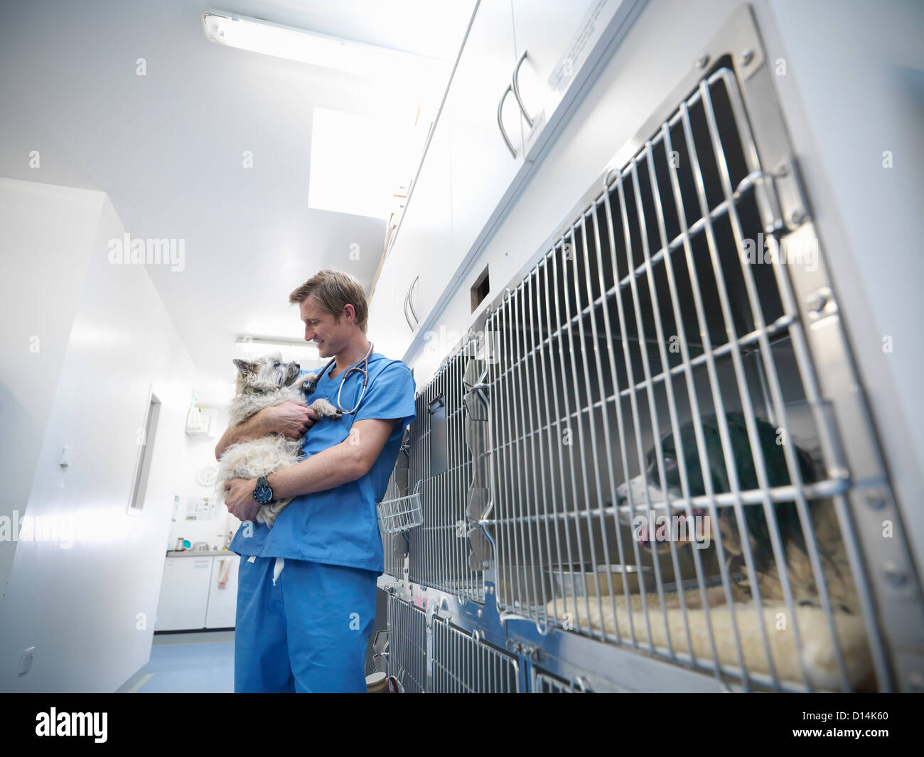 Abrazos veterinario perro kennel Fotografía de stock - Alamy