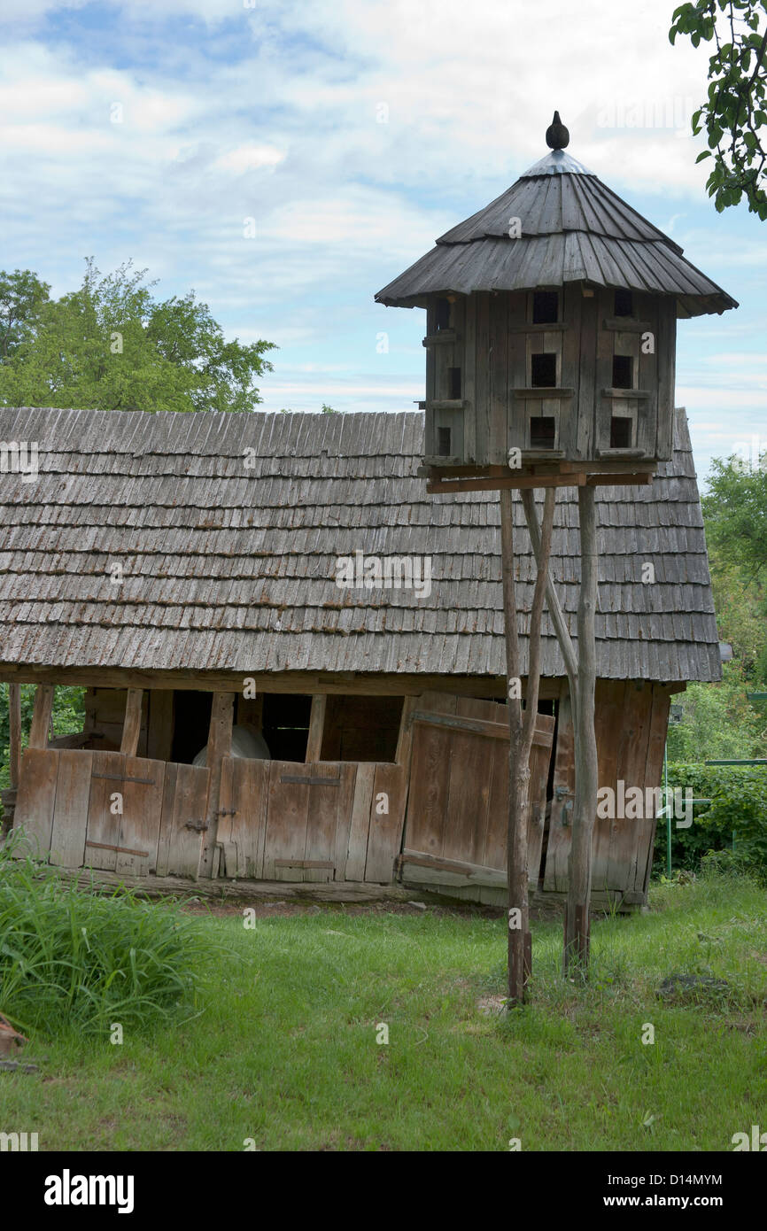 Paloma campestre fotografías e imágenes de alta resolución - Alamy