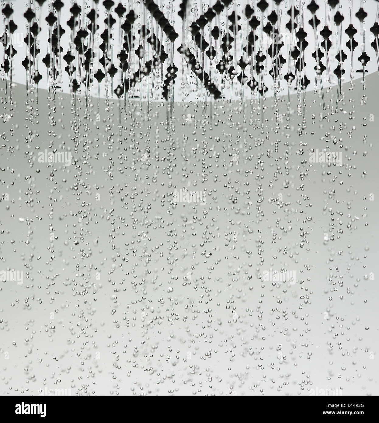 Gotas de agua en el cabezal de la ducha Foto de stock