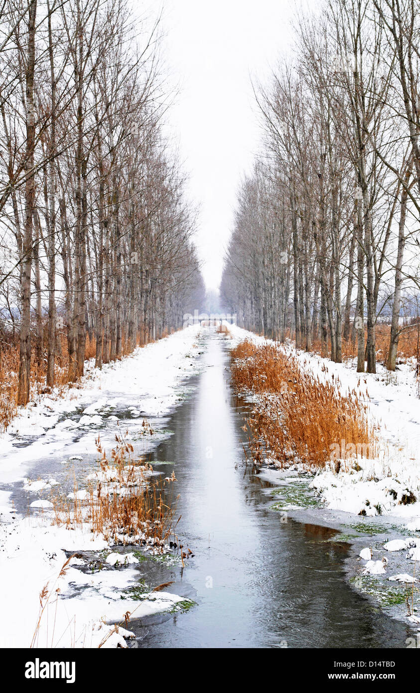 Creek entre dos avenidas cerca Szigliget en un día de nieve, Hungría Foto de stock