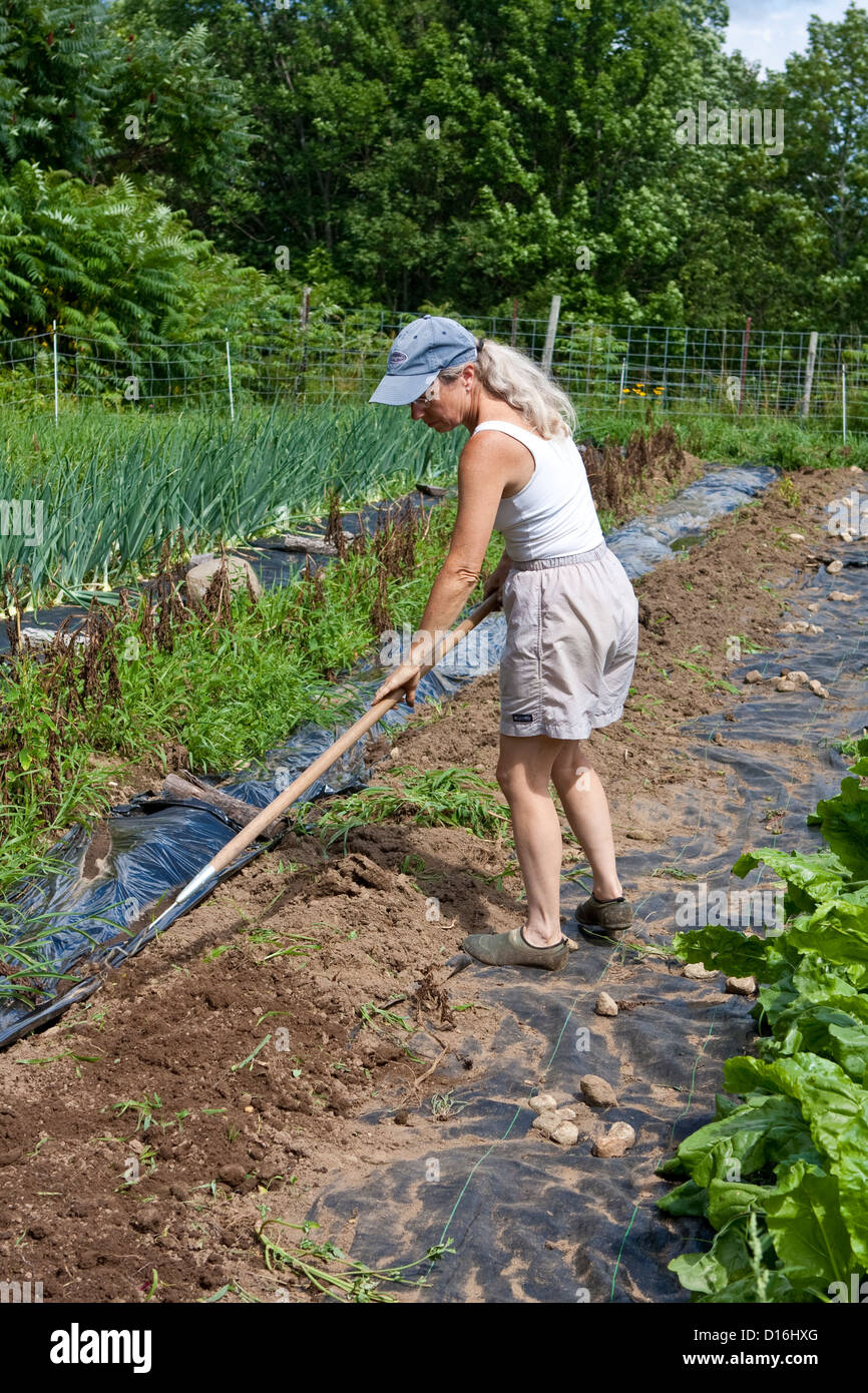 Mujer con un azadón a la maleza del jardín Fotografía de stock - Alamy