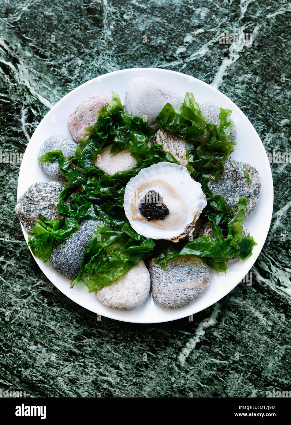 Plato de ostras con caviar y algas marinas Foto de stock