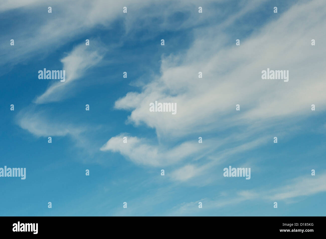 Cielo azul y nube en forma de aves. La India Foto de stock