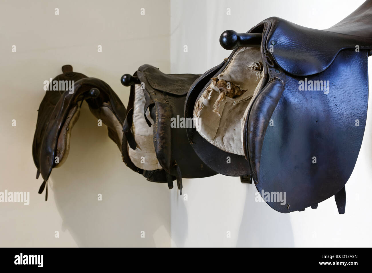 Monturas para caballos fotografías e imágenes de alta resolución - Página 2  - Alamy