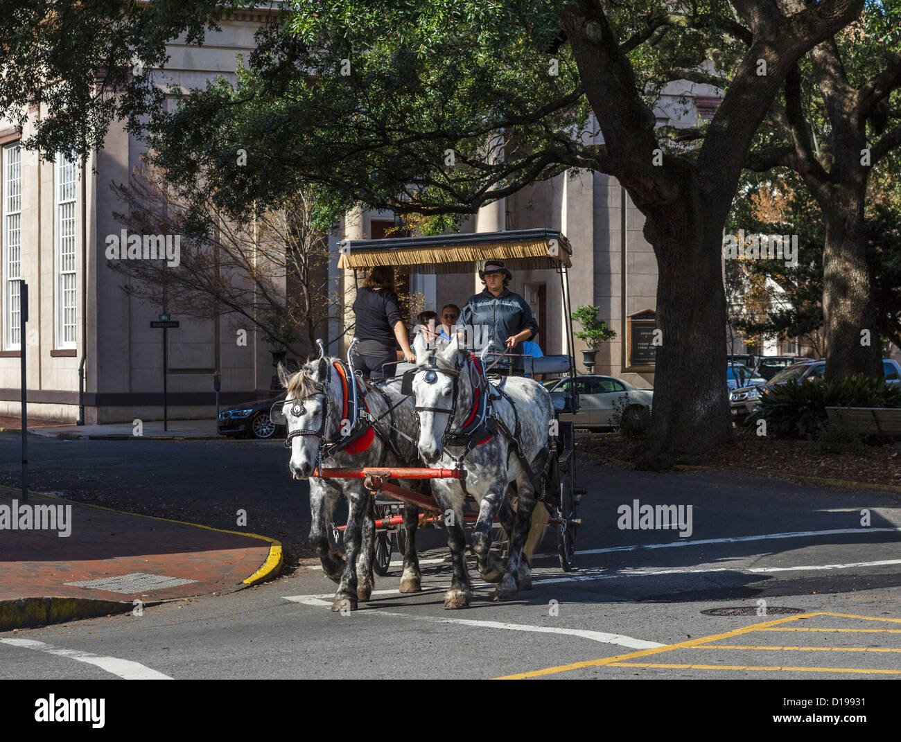 Paseo en carruaje tirado por caballos en el centro histórico de Savannah, Georgia, EE.UU. Foto de stock