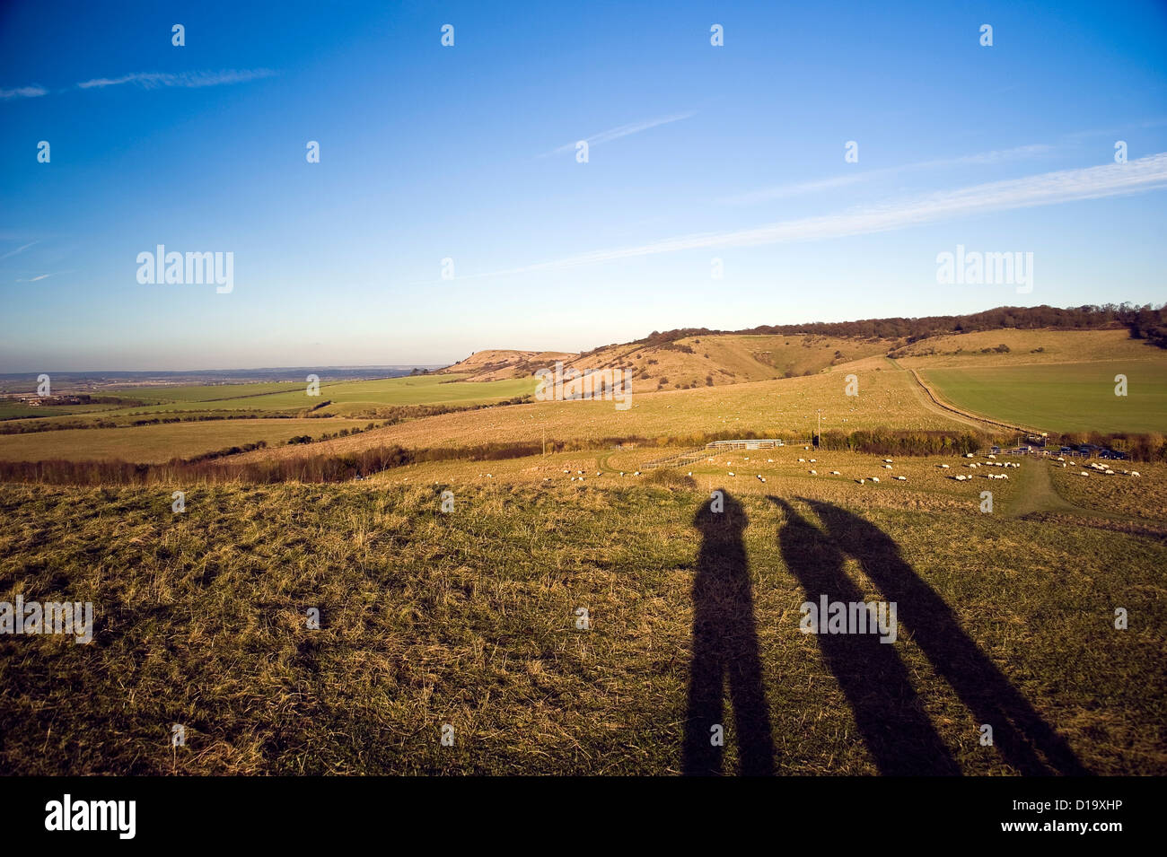 Largas sombras de caminantes acercando Ivinghoe Beacon al final del Sendero Nacional Ridgeway, Buckinghamshire, REINO UNIDO Foto de stock