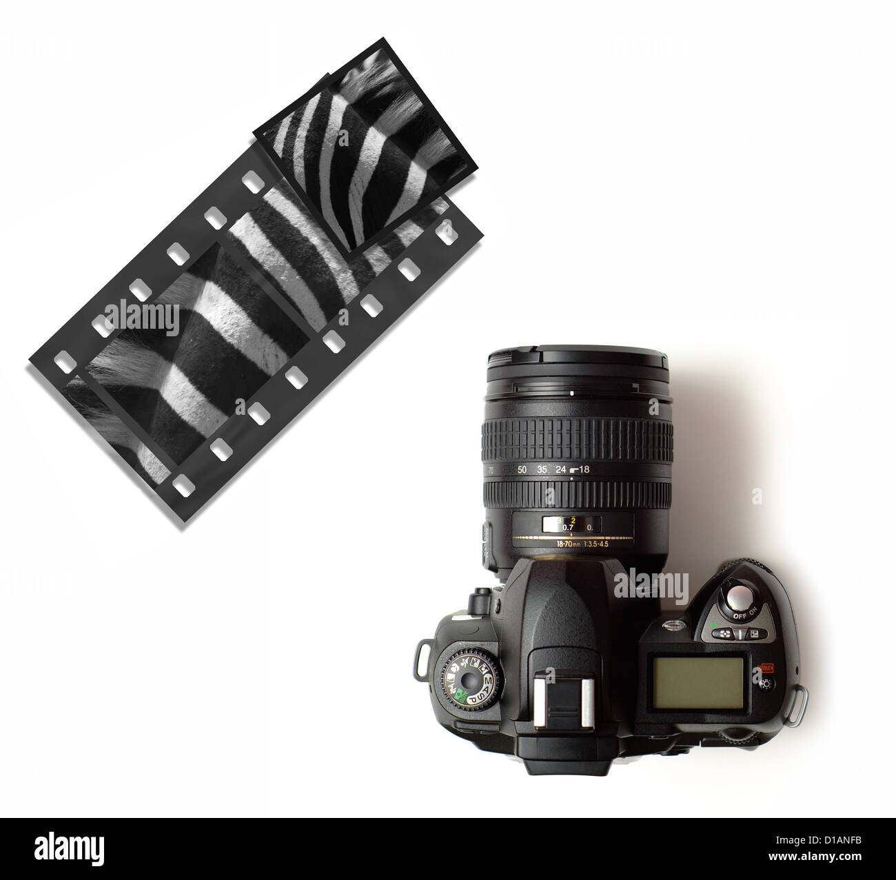 Moderna cámara réflex digital o una cámara de película de diapositivas con  imágenes de vida silvestre zebra Fotografía de stock - Alamy