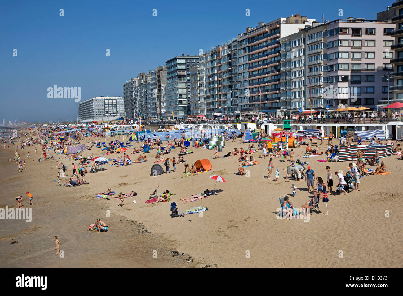 Bañistas en verano tomando el sol detrás de pantallas y cortinas rompevientos en la playa en la costa del Mar del Norte en la ciudad balnearia belga, Bélgica Foto de stock