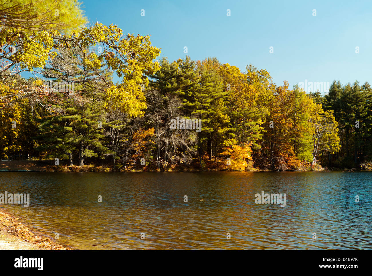 Colores de otoño por el lago en Nueva Inglaterra Foto de stock