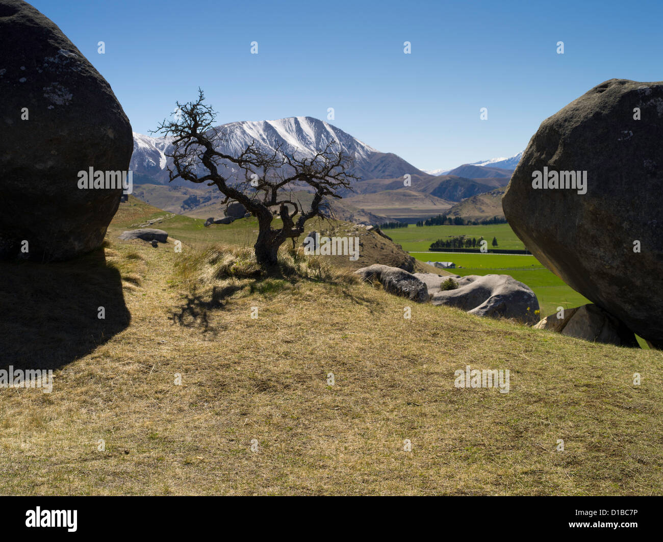 Vista de la Colina del Castillo, entre Arthur's y Darfield pasa, Nueva Zelanda. Kura Tawhiti zona de conservación. Foto de stock