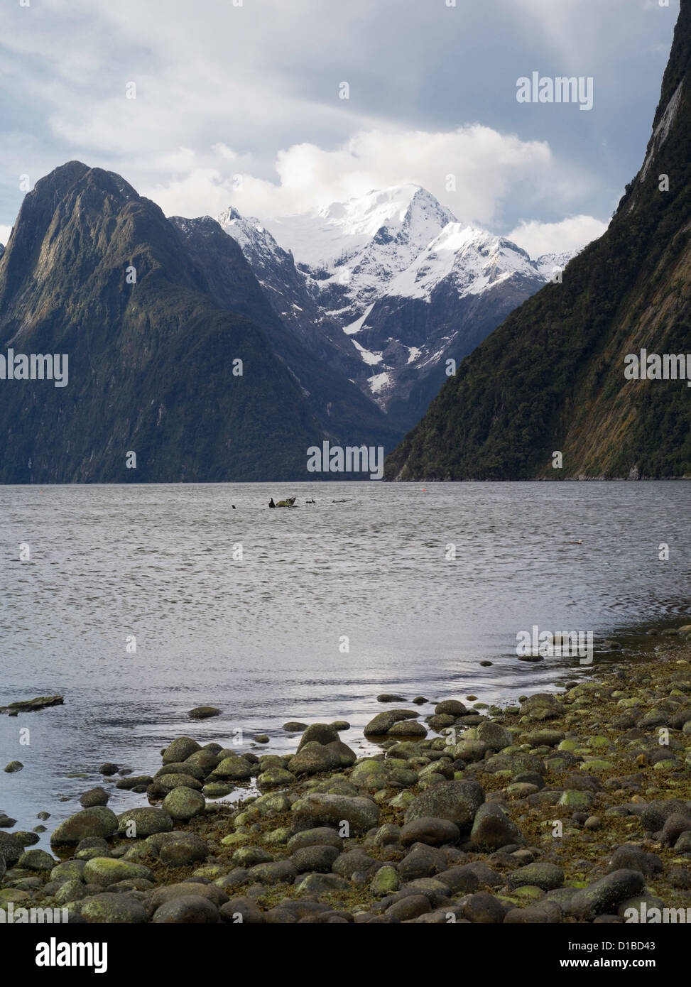 Ángulo de visión baja del monte Pembroke y el Valle del Río Harrison, estuario y la bahía de Milford Sound; el Parque Nacional Fiordland, nueva Foto de stock