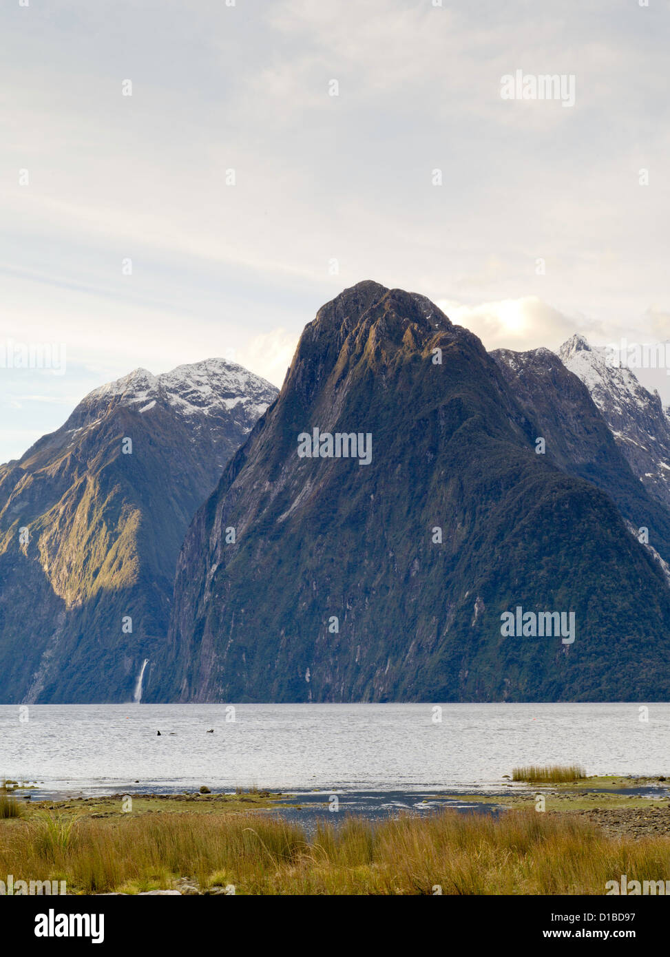 Puesta de sol desciende sobre Cataratas Stirling, Milford Sound/Piopiotahi, Parque Nacional de Fiordland, Nueva Zelanda Foto de stock