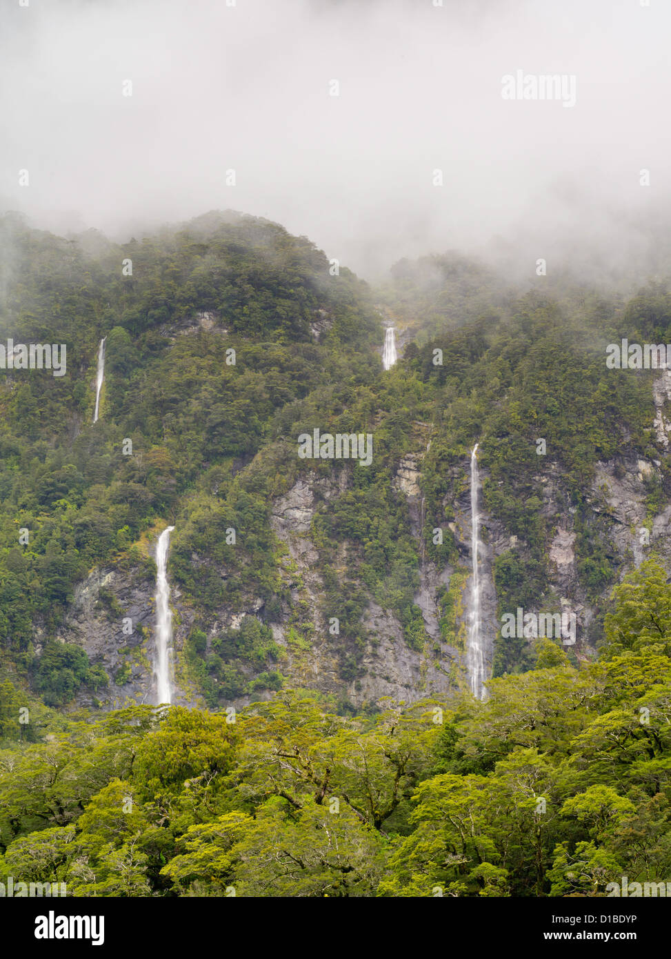 Las cascadas en las cercanías de Milford Sound, el Parque Nacional Fiordland, Nueva Zelanda, después de un evento de Heavy Rain. Foto de stock