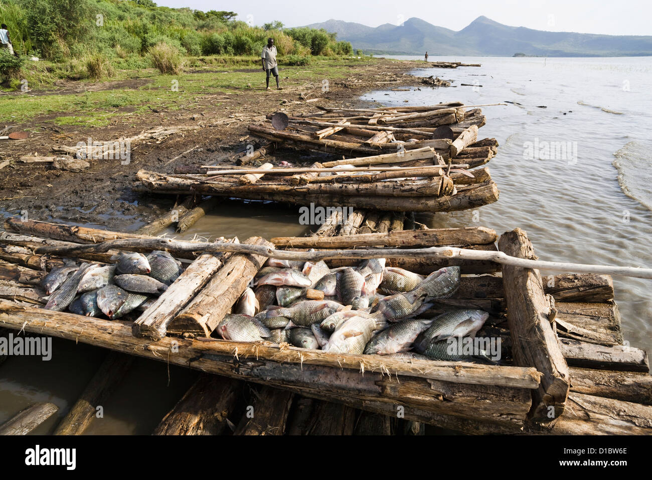 Los pescadores en el lago Chamo, Arba Minch, Etiopía. Los pescadores con sus barcas y sus capturas en la playa Foto de stock