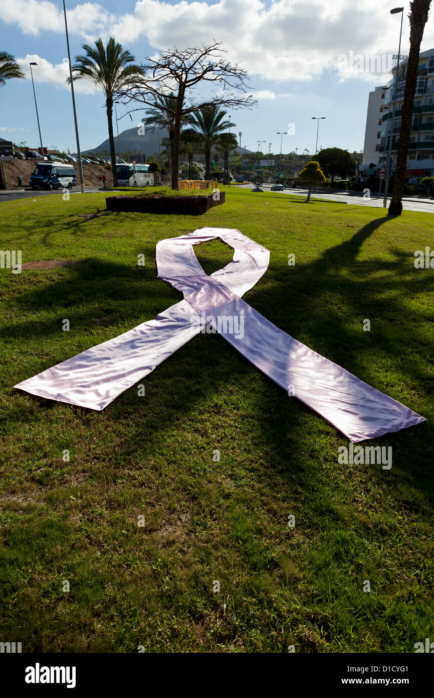 Más de 2300 personas levantaron más de 16.000 Euros para las obras de beneficencia que trabajan para combatir el cáncer de mama, caminando desde el centro de magma en Las Americas de Arona, en Tenerife, Islas Canarias, España. 16/12/2012. Foto de stock