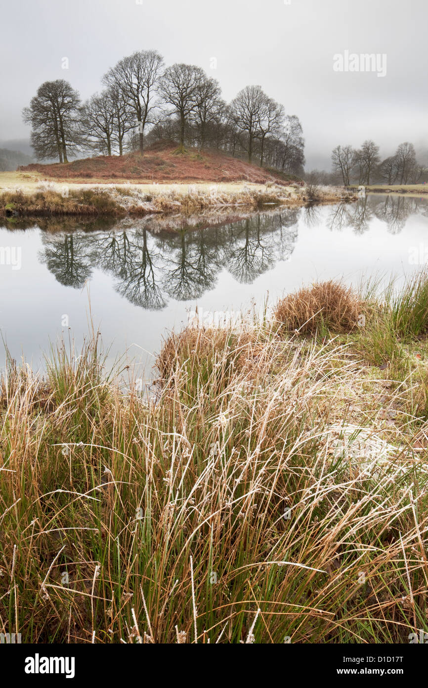 Las heladas de invierno y reflexiones sobre Gran Langdale Beck cerca, Elterwater Lake District National Park, Cumbria, Inglaterra Foto de stock