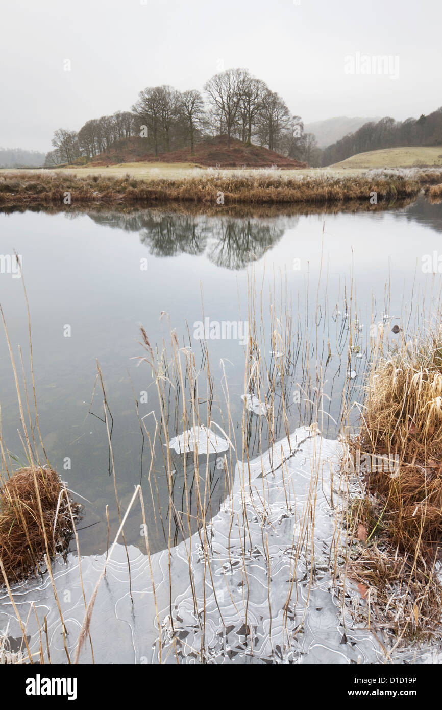 Hielo invernal y reflexiones sobre Gran Langdale Beck cerca, Elterwater Lake District National Park, Cumbria, Inglaterra Foto de stock