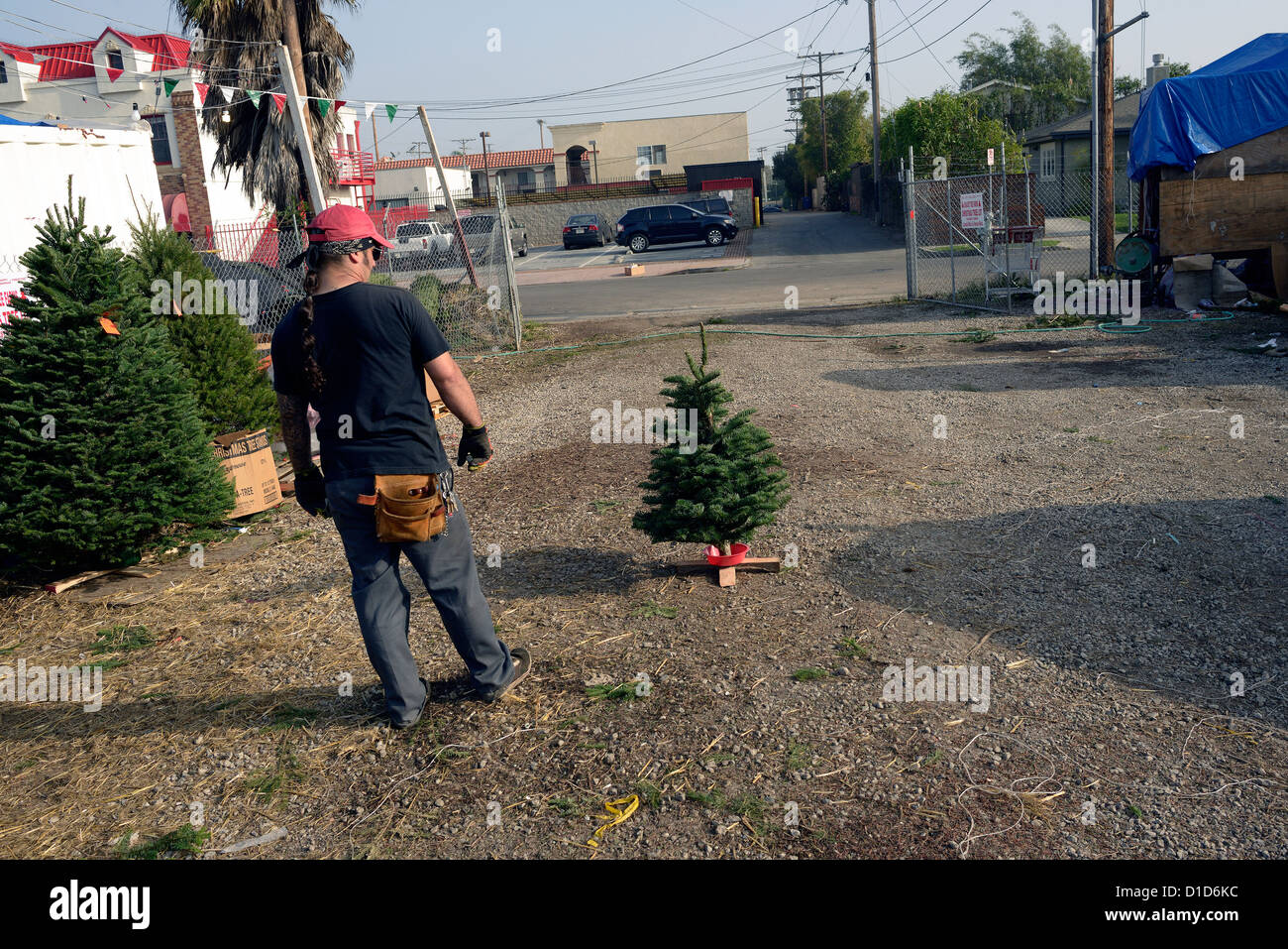 Árbol de navidad para la venta en California de Venecia Foto de stock